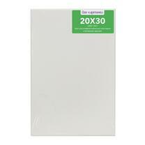 Без бренда «Коробка 80 шт.: Холст Две картинки на подрамнике 20X30» в Таганроге