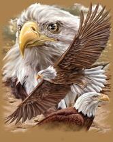 Без бренда «Коробка 20 шт: Орёл крупным планом» в Таганроге