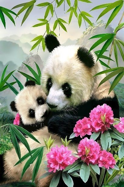 Картина по номерам 40x50 Панда с малышом среди тропических цветов