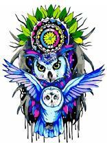 Цветные совы на фоне ловца снов