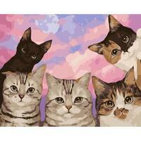 Без бренда «Такие разные котики» в Таганроге