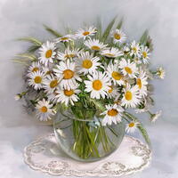 Без бренда «Букет свежих ромашек» в Таганроге в интернет-магазине Без бренда «Букет свежих ромашек» в Таганроге