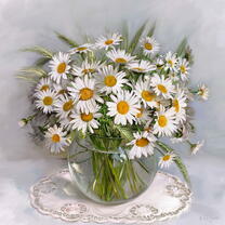 Без бренда «Букет свежих ромашек» в Таганроге