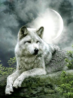 Без бренда «Коробка 25 шт. картин по номерам BOX25-GX21058» в Таганроге