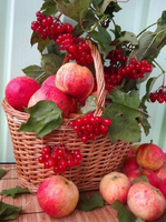 Без бренда «Коробка 25 шт. картин по номерам BOX25-GX5174» в Таганроге