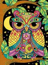 Картина по номерам «Яркая сова на ветке под луной»