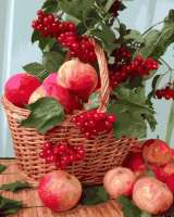 Без бренда «Плетёная корзина с калиной и яблоками» в Таганроге