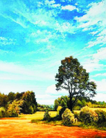 Без бренда «Осенний пейзаж с голубым небом» в Таганроге в интернет-магазине  Без бренда «Осенний пейзаж с голубым небом» в Таганроге