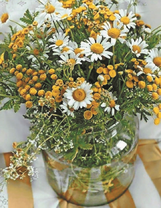 Букет полевых ромашек в банке