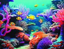 Морское царство