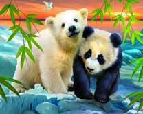 Панда и белый медведь на снегу