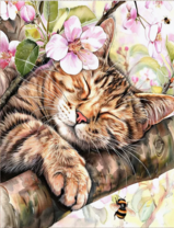 Без бренда «Волосатый котик спит на ветви яблони» в Таганроге в интернет-магазине  Без бренда «Волосатый котик спит на ветви яблони» в Таганроге