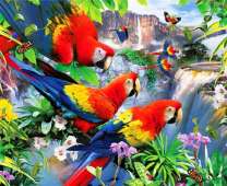 Большая стая ярких ара у водопада